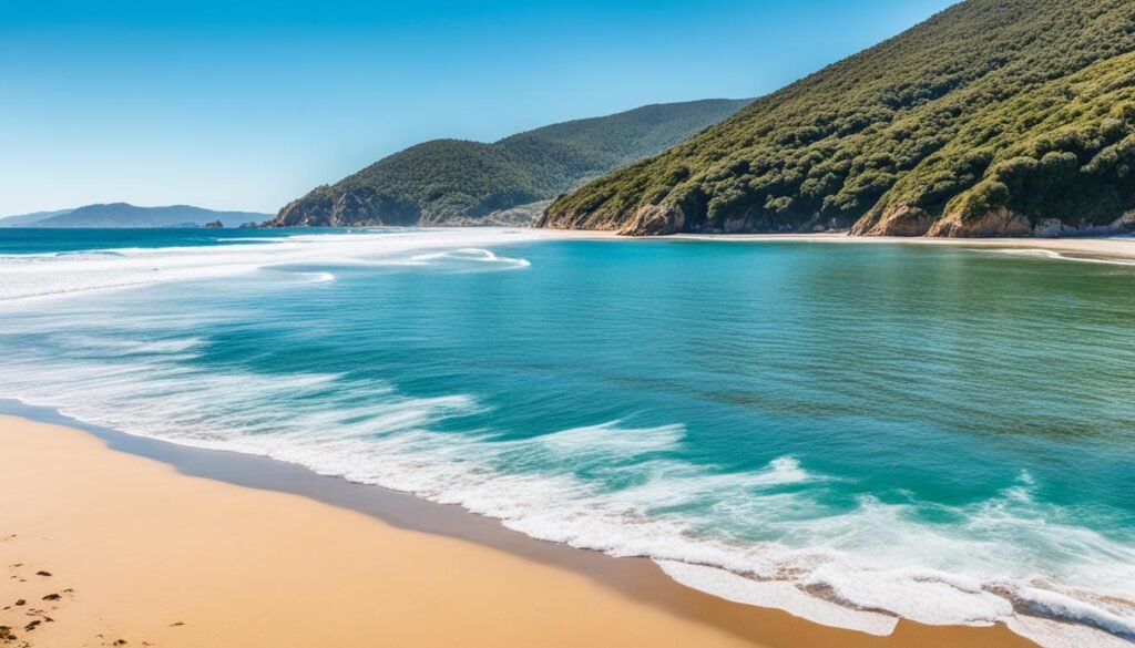 beaches in Knysna